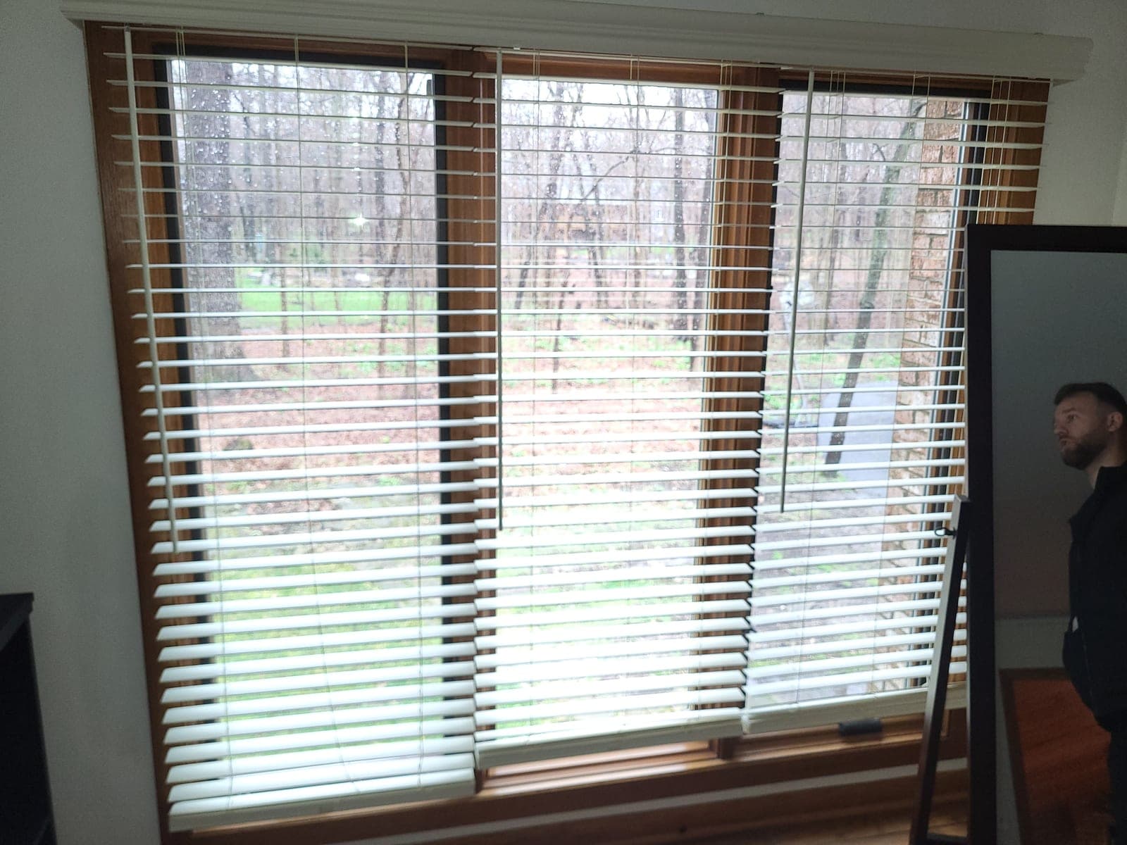 Pella windows 24"W x 52"H (3) w/ blinds, Casement, Wood/Aluminum clad (Proline)